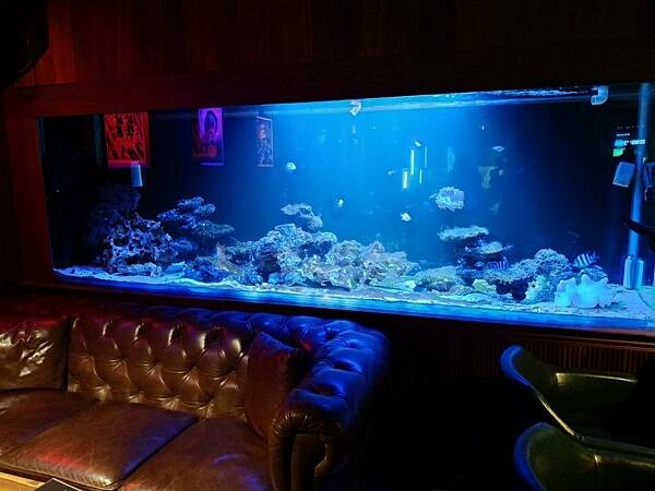 台北美食推薦-【AQUA Lounge酒吧】-串燒創意美食/ 台北美食推薦-【AQUA Lounge酒吧】-串燒創意美食/