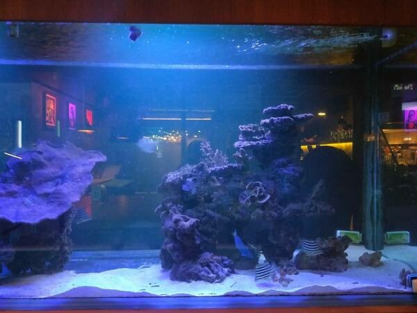 台北美食推薦-【AQUA Lounge酒吧】-串燒創意美食/ 台北美食推薦-【AQUA Lounge酒吧】-串燒創意美食/