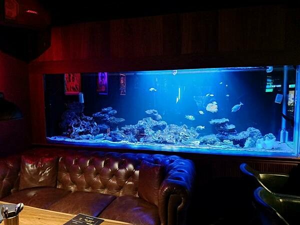 台北美食推薦-【AQUA Lounge酒吧】-串燒創意美食/ 台北美食推薦-【AQUA Lounge酒吧】-串燒創意美食/