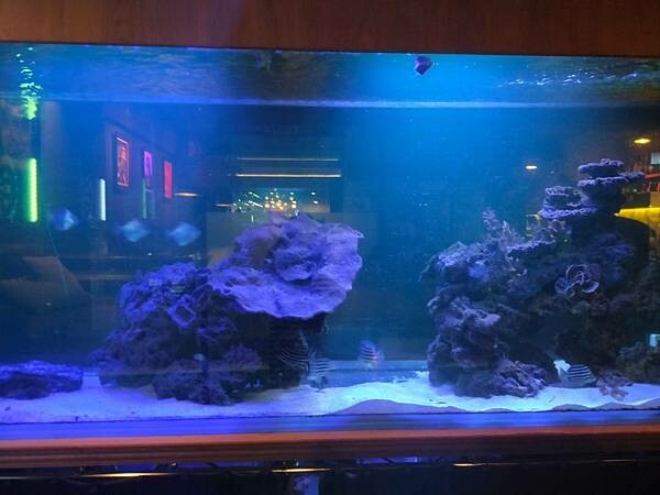 台北美食推薦-【AQUA Lounge酒吧】-串燒創意美食/ 台北美食推薦-【AQUA Lounge酒吧】-串燒創意美食/