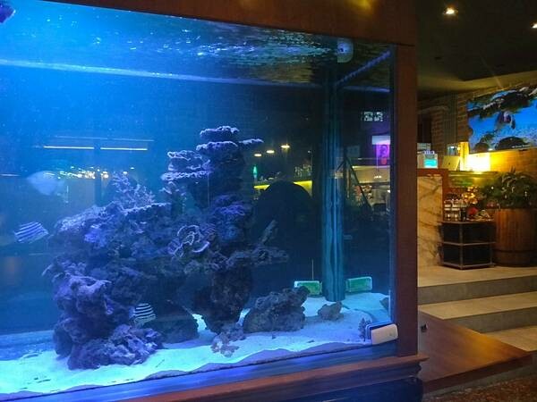 台北美食推薦-【AQUA Lounge酒吧】-串燒創意美食/ 台北美食推薦-【AQUA Lounge酒吧】-串燒創意美食/