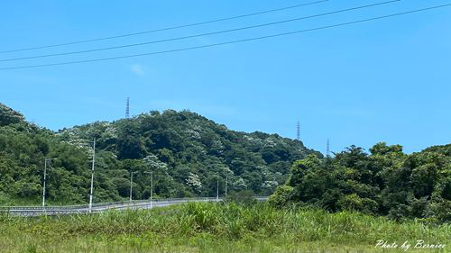 0502 2-開山堂10.jpg