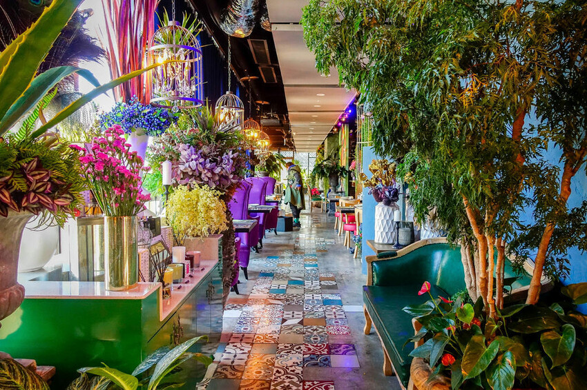 肉多多 淡水中正店 Ｘ魔王 火鍋第一品牌排隊名店 蔬食者天堂 35種蔬菜無限吃 浮誇大肉盤 淡水老街人氣火鍋