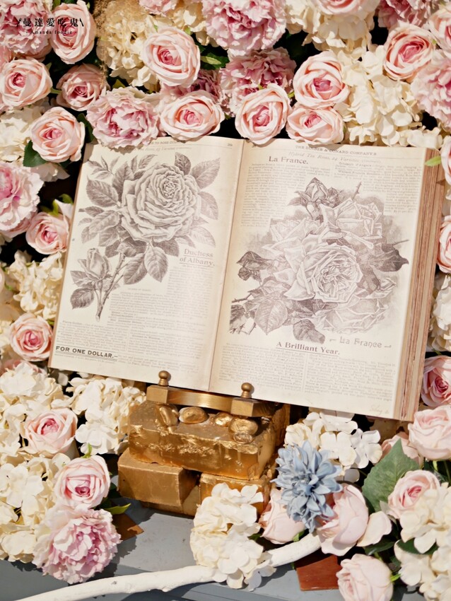 超厚工蔬果湯頭!隱藏在巷弄裡的好味道『貍偷聚門鍋物』一試成主顧蒜頭蛤蠣鍋吃起來!台南美食推薦|台南東區火鍋推薦|台南特色火鍋 - 曼達愛吃鬼