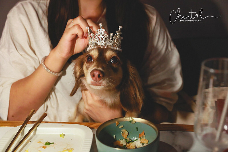 1J6A4255-2拷貝 拷貝