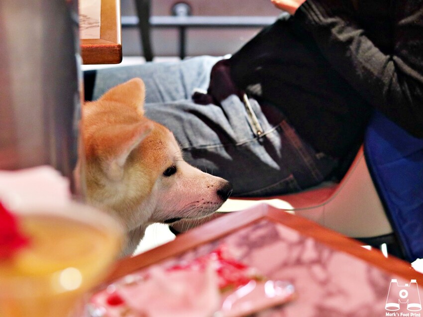 台中北區美食｜Eartha燒肉餐酒館，燒肉珠寶盒搭配精緻調酒，你的微醺放鬆好夥伴！