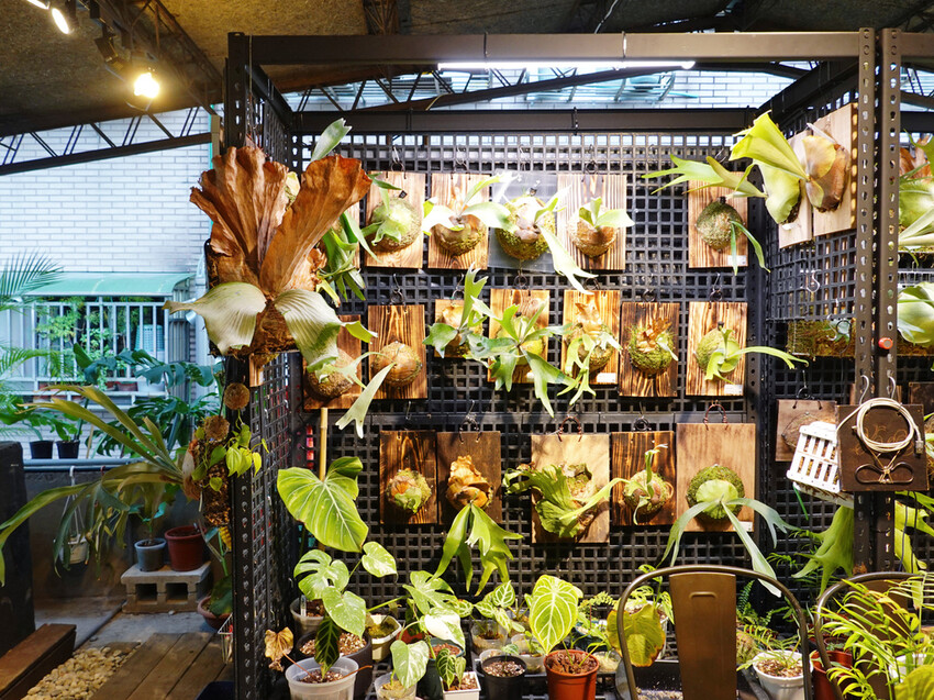 新北市板橋區新北板橋—旭舊咖啡Shiu Jiou｜細品懷舊老件的咖啡時光屋｜中山路、板橋大遠百、板新站、板橋體育場