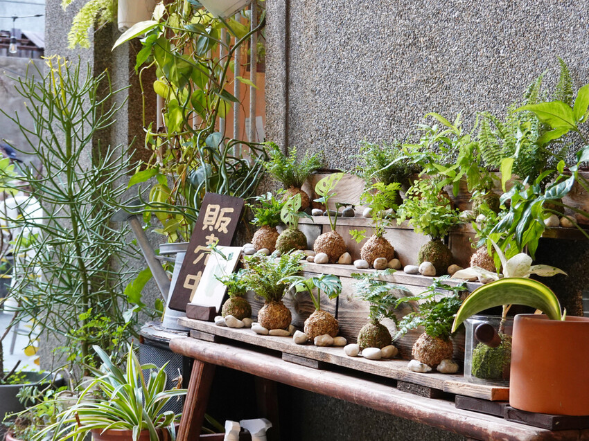 新北市板橋區新北板橋—旭舊咖啡Shiu Jiou｜細品懷舊老件的咖啡時光屋｜中山路、板橋大遠百、板新站、板橋體育場