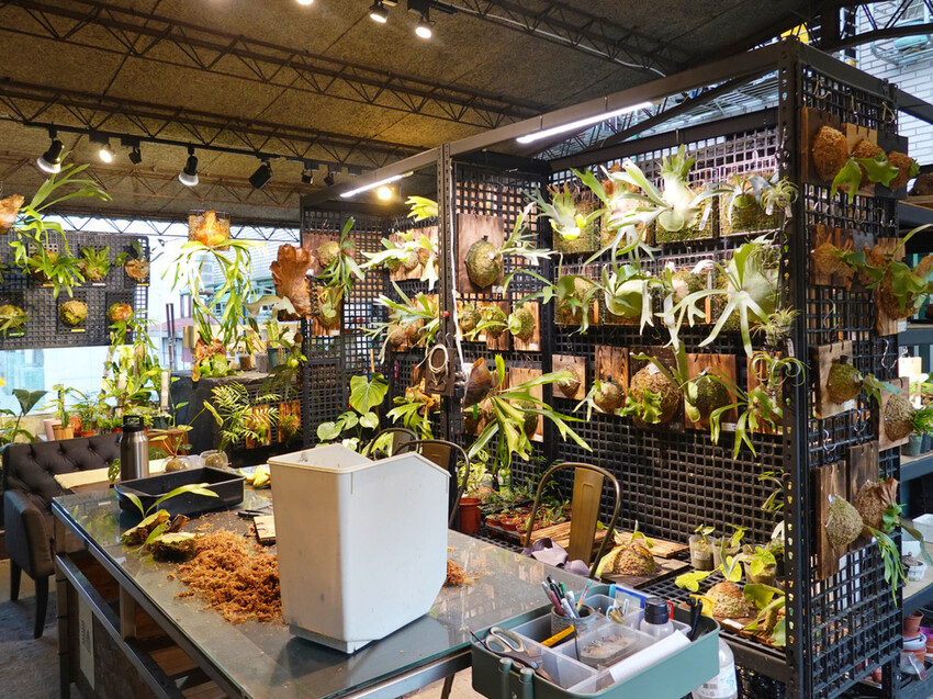 新北市板橋區新北板橋—旭舊咖啡Shiu Jiou｜細品懷舊老件的咖啡時光屋｜中山路、板橋大遠百、板新站、板橋體育場