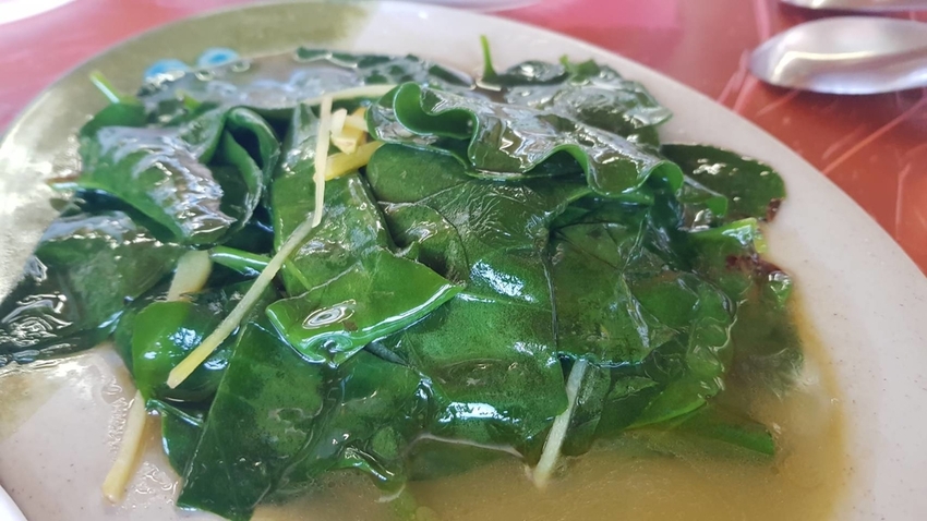 128153.jpg - 【南投.信義】望高茶園品茶用餐。季節限定美景漫步在櫻花道中