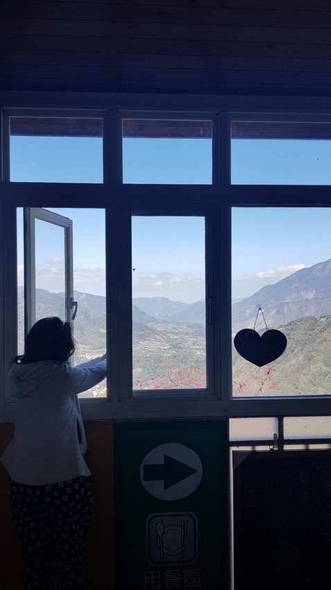 128158.jpg - 【南投.信義】望高茶園品茶用餐。季節限定美景漫步在櫻花道中