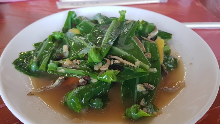 128155.jpg - 【南投.信義】望高茶園品茶用餐。季節限定美景漫步在櫻花道中