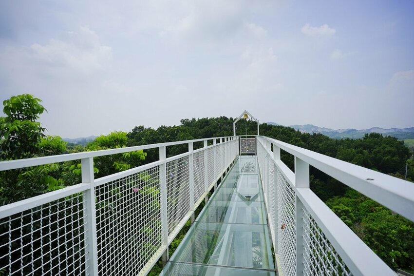 食記|台南玉井 魔法森林景觀咖啡小餐館 森林環繞、玻璃天空步道 台南景觀餐廳推薦! - 奇奇一起玩樂趣