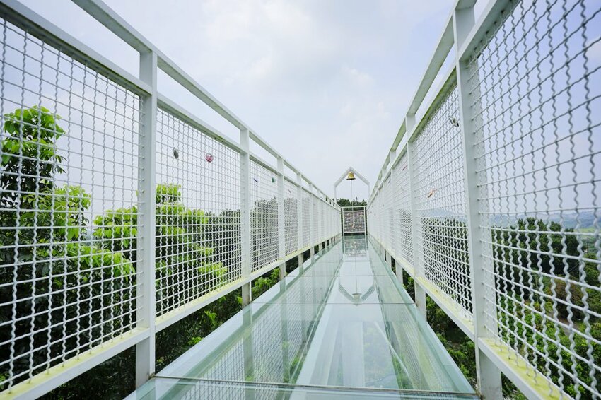 食記|台南玉井 魔法森林景觀咖啡小餐館 森林環繞、玻璃天空步道 台南景觀餐廳推薦! - 奇奇一起玩樂趣