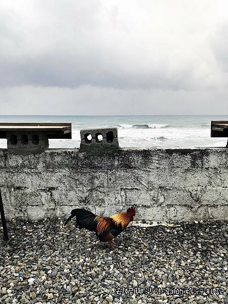 嘎嘎烏賴賴18.JPG 嘎嘎烏賴賴18.JPG