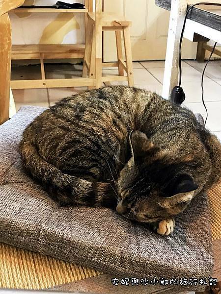 嘎嘎烏賴賴15.JPG 嘎嘎烏賴賴15.JPG