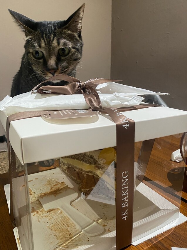 新北市三重區🌰超好吃栗子奶霜 ｜ 4K手作烘焙 ｜無反式脂肪的動物鮮奶油