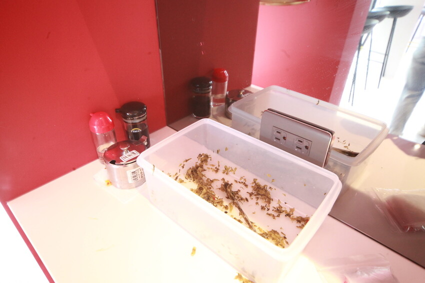 台南市中西區吃。台南市｜中西區。「 老唐牛肉麵」台南知名的老字號牛肉麵強勢回歸，試營運先天不足 後天失調，鹿希派發