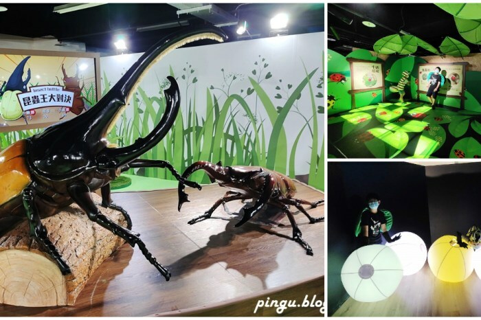 豐雞號｜台中河南店限定推出好食雙雞套餐！！道地港式油雞廣東滷味超下酒 逢甲排隊美食推薦 - 小企鵝生活趣