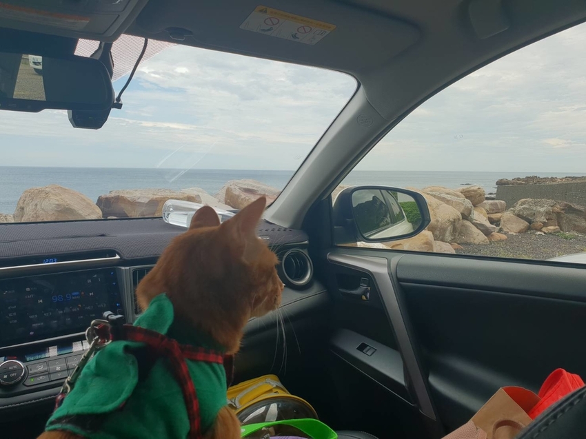 【新北.貢寮】北海岸散散步。看海吃飯海邊橘屋。超新鮮海水養殖九孔。活體現烤超級新鮮。推烤九孔+九孔炒飯+涼拌茶葉菜