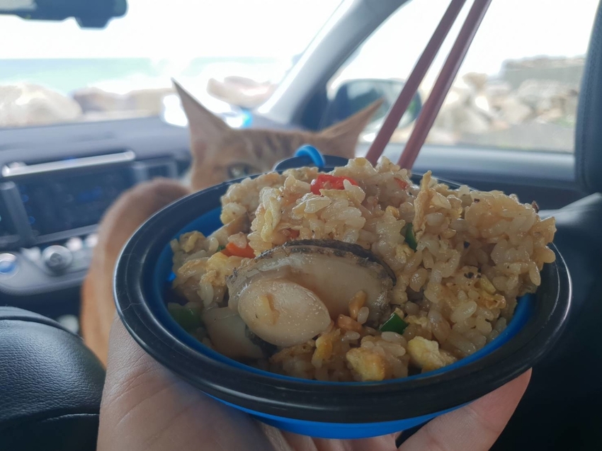 【新北.貢寮】北海岸散散步。看海吃飯海邊橘屋。超新鮮海水養殖九孔。活體現烤超級新鮮。推烤九孔+九孔炒飯+涼拌茶葉菜