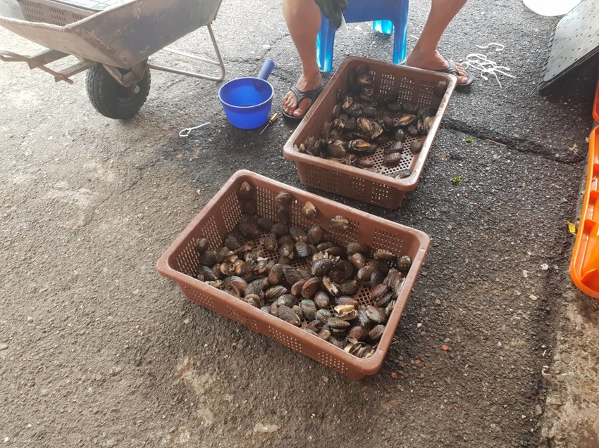 【新北.貢寮】北海岸散散步。看海吃飯海邊橘屋。超新鮮海水養殖九孔。活體現烤超級新鮮。推烤九孔+九孔炒飯+涼拌茶葉菜