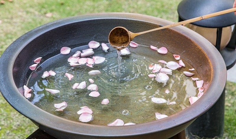 【南投-中興新村】小興苑.五十年綠蔭間的華麗轉身.原台灣新生報辦事處