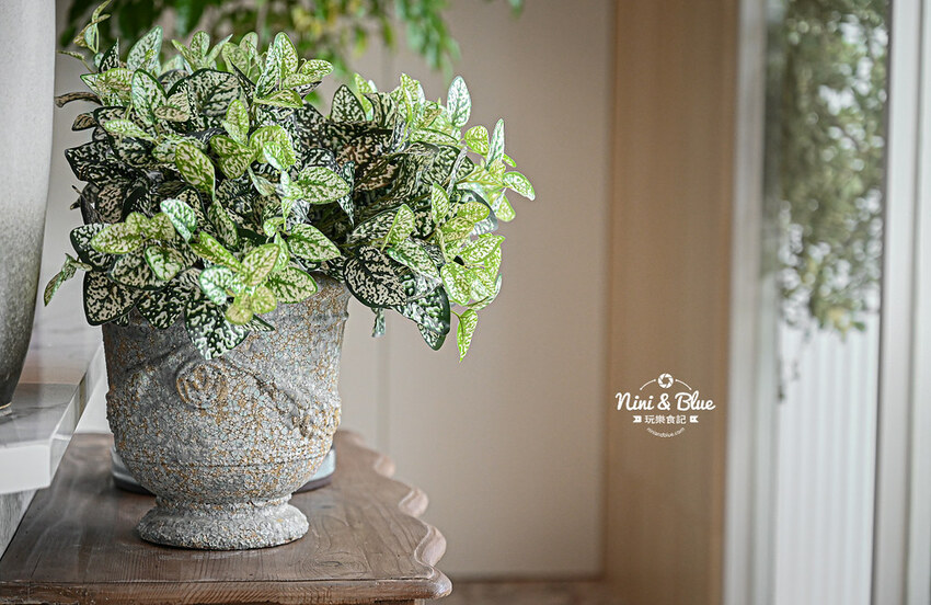 雛菊見DAISY HOUSE |台中南屯森林系美翻餐廳，防疫四人餐只要870元再送手做馬林糖 Nini and Blue 玩樂食記