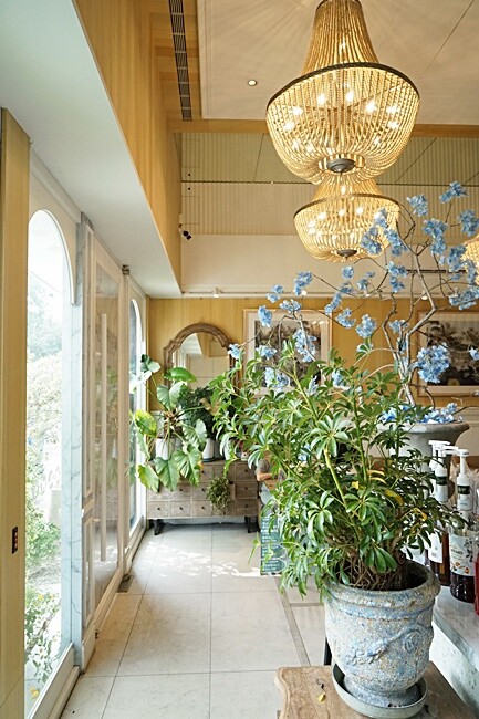 台中超夢幻浮誇森林系義式餐廳，全天候供餐、亦有多人分享餐，再被超萌布丁熊包圍，走一趟尖叫吃好吃滿~（