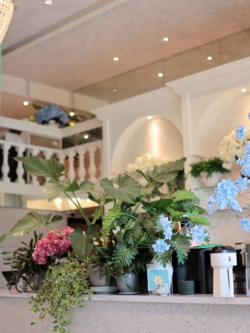 【台中食記】南屯最新熱門餐廳『雛菊見DAISY HOUSE』新開幕!森林系歐風超美裝潢好拍度爆表,棉花糖鬆餅超浮誇,當月壽星點分享餐送慕斯蛋糕!