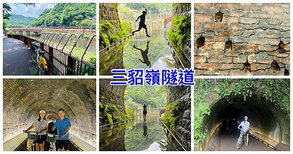 IMG_3731.JPG IMG_3731.JPG