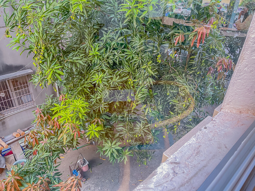 高雄米其林餐盤17系列 – Marc L3 x 台灣食材 & 法式技法的完美結合！