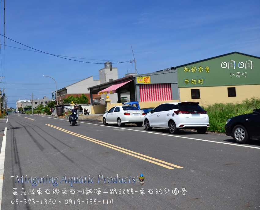 蚵仔包-東石小吃