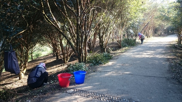 台灣好行南庄線 2日小旅行-東河吊橋、南庄巴斯達隘祭場、向天湖