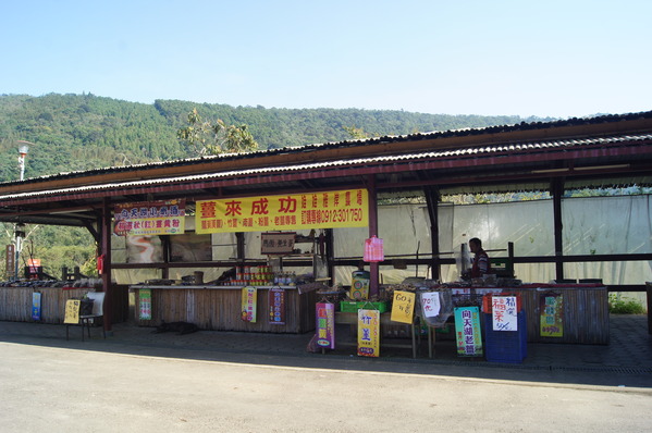 台灣好行南庄線 2日小旅行-東河吊橋、南庄巴斯達隘祭場、向天湖