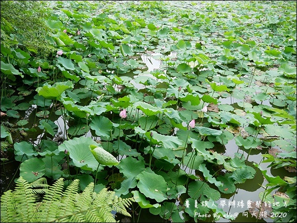 向天湖-10.jpg 向天湖-10.jpg