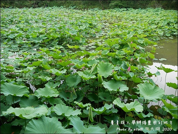 向天湖-09.jpg 向天湖-09.jpg