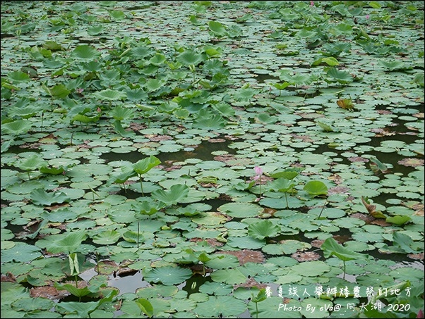 向天湖-13.jpg 向天湖-13.jpg