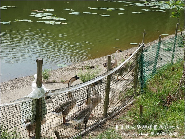 向天湖-05.jpg 向天湖-05.jpg