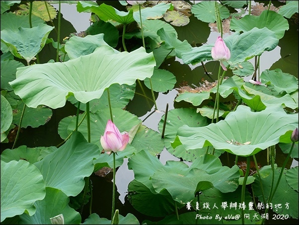 向天湖-11.jpg 向天湖-11.jpg