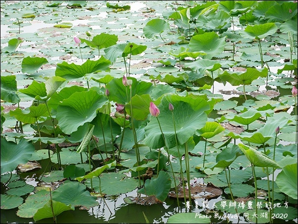 向天湖-14.jpg 向天湖-14.jpg