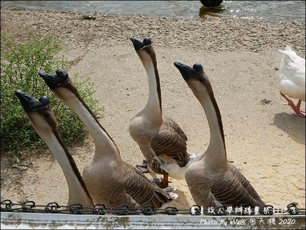 向天湖-06.jpg 向天湖-06.jpg