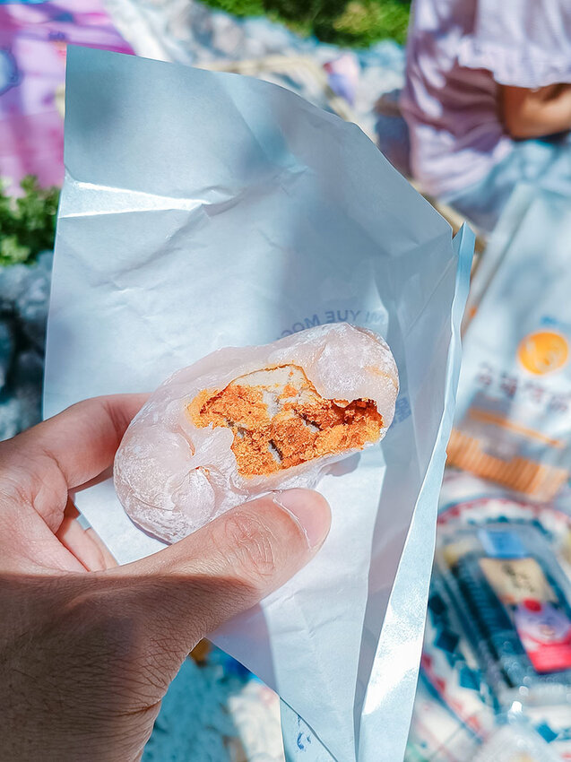 新竹公園野餐趣！快抓住櫻花祭最後的賞櫻時機 ft.米玥麻糬堂