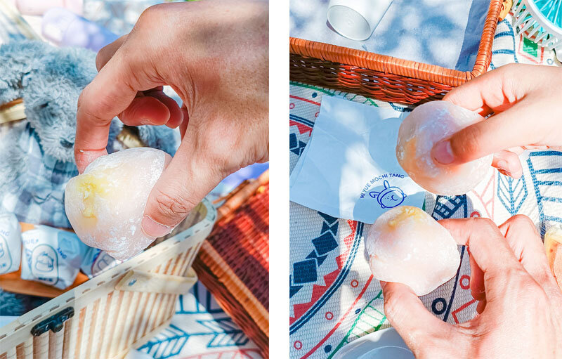 新竹公園野餐趣！快抓住櫻花祭最後的賞櫻時機 ft.米玥麻糬堂