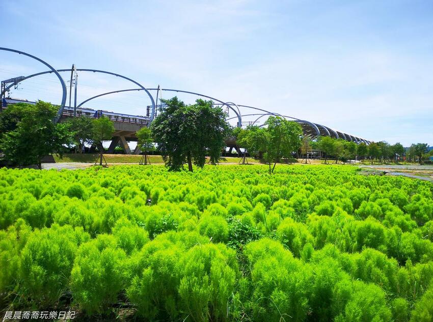 宜蘭最新景點冬山火車站波波草 宜蘭最新景點冬山火車站波波草