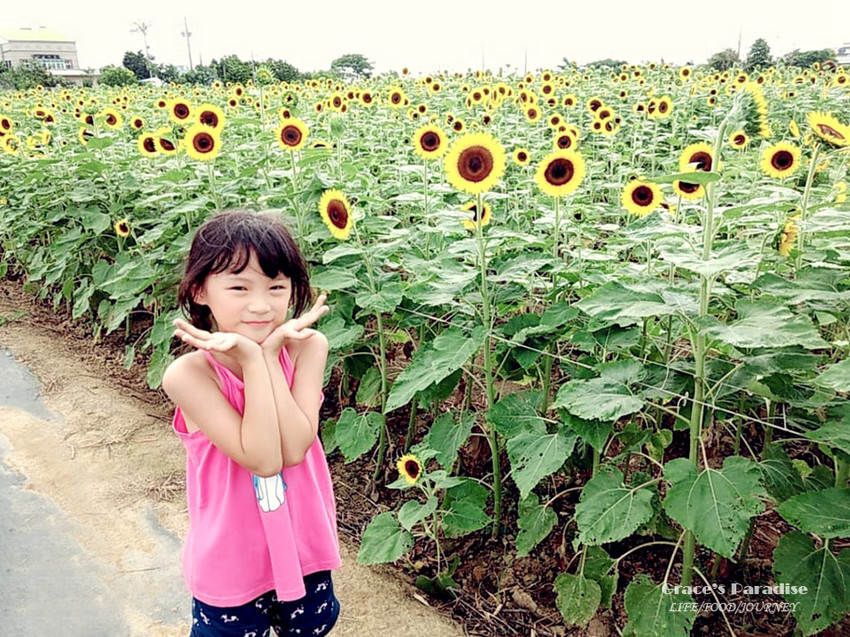 向陽農場-桃園親子免費景點 (5).jpg