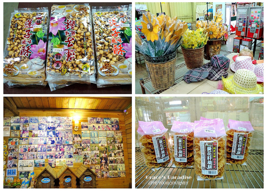 向陽農場-桃園親子免費景點 (34).jpg