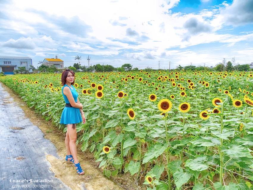 向陽農場-桃園親子免費景點 (24).jpg