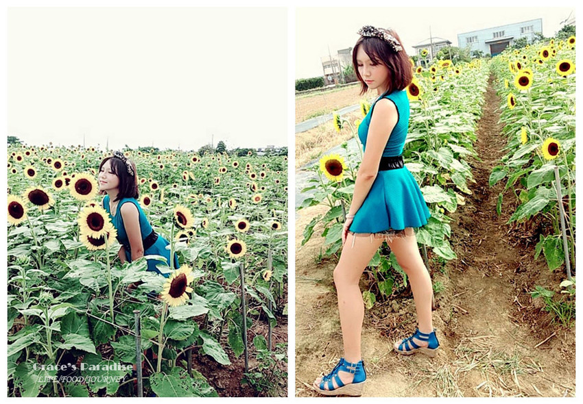 向陽農場-桃園親子免費景點 (4).jpg