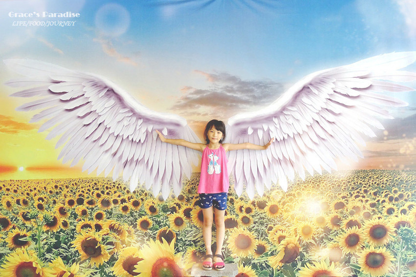 向陽農場-桃園親子免費景點 (2).jpg